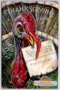 Thanksgiving Joys Turkey Digesting The Calendar Silver Gild Postcard C40