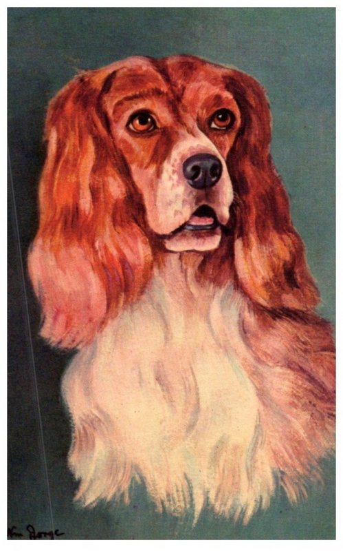 Dog  , Cocker Spaniel ,artist signed Wm.George