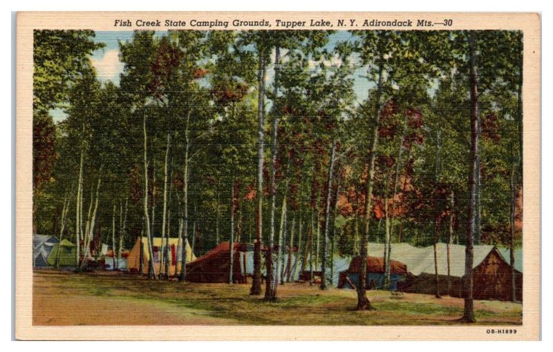 Mid-1900s Fish Creek State Campground, Tupper Lake, NY Postcard