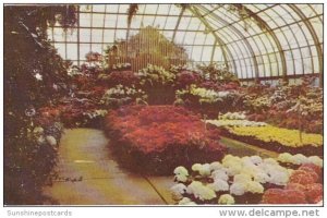 Annual Easter Display Conservatory In Eden Park Cincinnati Ohio 1961