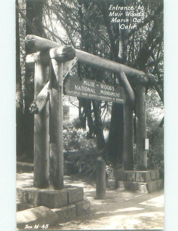 old rppc NICE VIEW Muir Woods - Mill Valley & Sausalito & San Francisco CA i8988