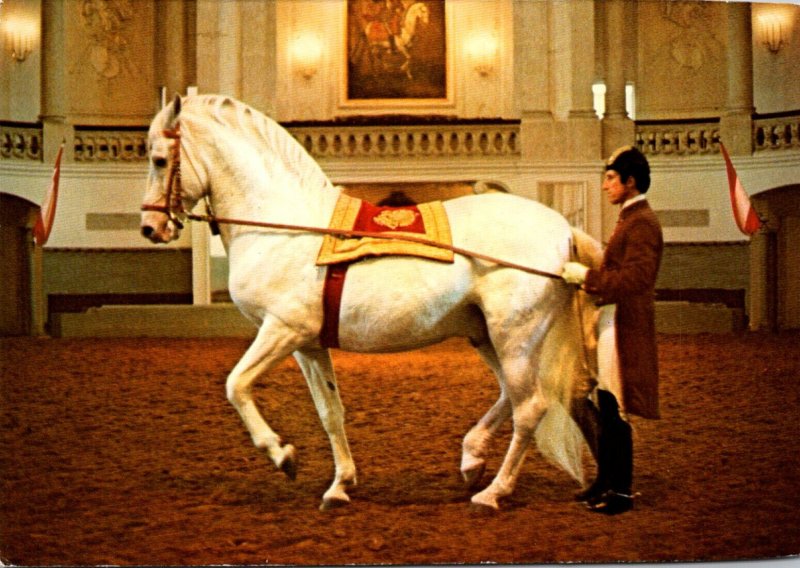 Austria Wien Vienna Spanish Riding School Am Langen Zurgel Piaffe