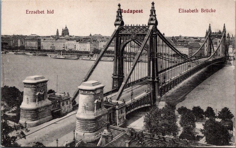 Hungary Budapest Elisabeth Bridge Vintage Postcard 09.40