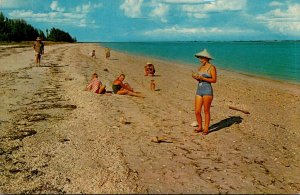 Florida Shelling On The World Famous Sanibel and Captiva Island Beaches