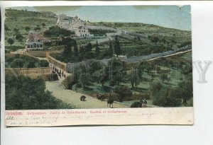 460727 Israel Palestine Jerusalem Garden of Gethsemane Vintage postcard