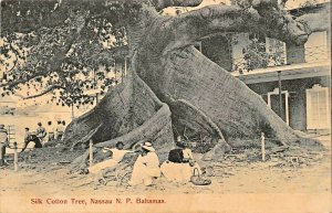 NASSAU NEW PROVIDENCE BAHAMAS~NATIVE UNDER SILK COTTON TREE~SANDS PHOTO POSTCARD