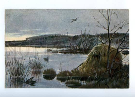 178201 RUSSIA ZVORIKIN HUNTING wild duck vintage postcard