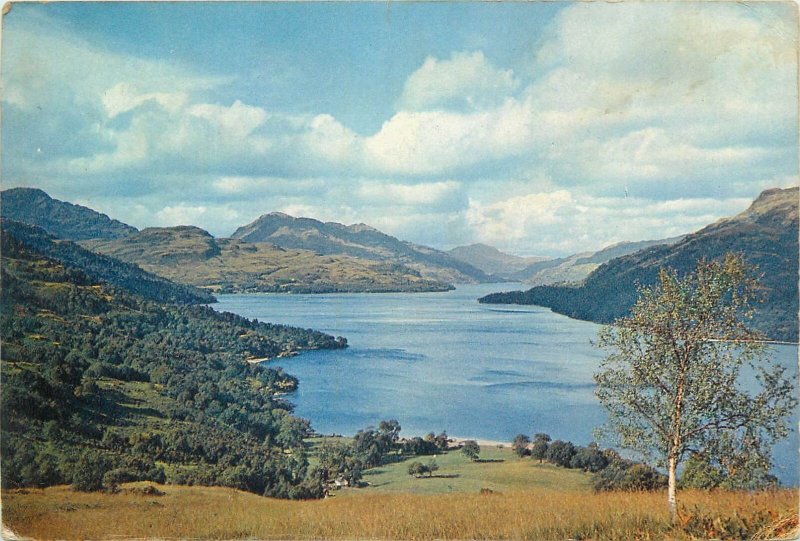 Postcard Uk Scotland Loch Lomond