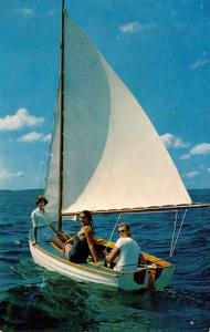 Sailing Scene