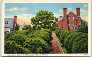 Postcard - Boxwood at George Washington's Birthplace - Virginia