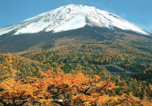 Postcard Four Seasons Of Mount Fuji Japan