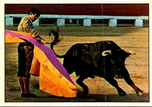 Soain Bull Fight Matador and Bull