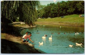 M-61341 Lagoon In Beautiful Sinnissippi Park Rockford Illinois