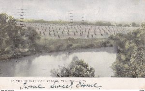 The Shenandoah Valley , Virginia ; PU-1911