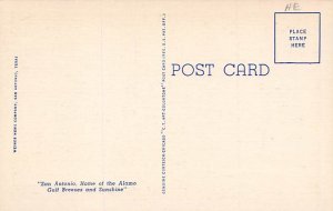 Polar Bears, Breckinridge Park Zoo San Antonio, Texas, USA Bear Postcard