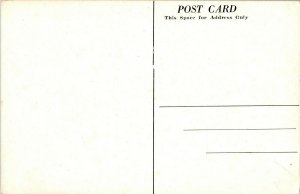 View of School Campus, Le Roy NY Vintage Postcard H58