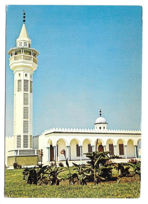 Tunisia Mosque Sidi Daoud Arab Islam H Ismail Postcard 4X6