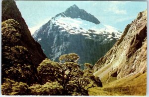Postcard - Hollyford Valley, Milford - New Zealand