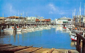Fisherman's Wharf San Francisco California  