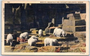 Postcard - Bear Pit, Brookfield Zoo, Chicago's Zoological Gardens - Illinois