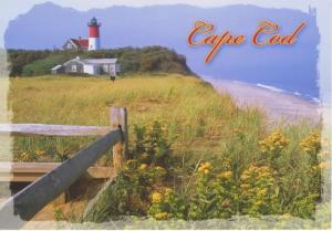 Cape Cod MA Massachusetts Unused Postcard D26