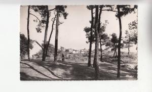 BF26467  la tranche sur mer vendee la foret de pins    france front/back image