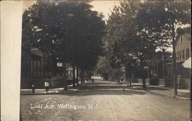 Bergen County Wallington New Jersey NJ Lodi Ave 1907 Real Photo