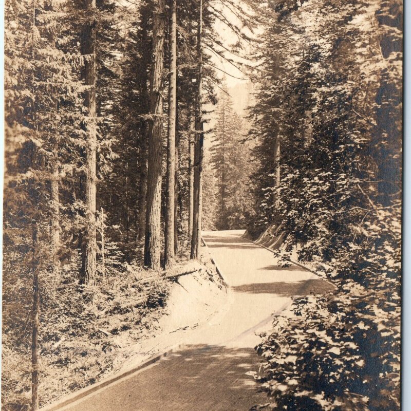 c1920s Columbia River Hwy, Corbett OR RPPC Figure 8 Real Photo Cross Dimmitt A87