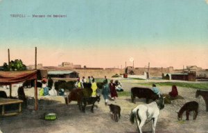 PC LIBYA, TRIPOLI, MERCATO DEI BESTIAMI, Vintage Postcard (b40032)