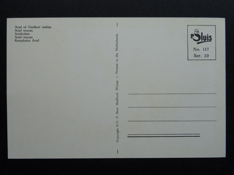 Bird Theme ARIEL TOUCAN c1950s Postcard by P. Sluis Series 10 No.117