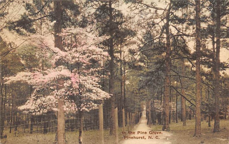 Pine Grove Pinehurst, North Carolina NC  