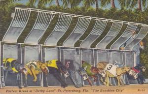 Florida Saint Petersburg Perfect Break At Derby Lane 1952