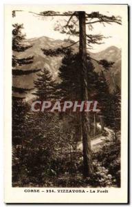 Old Postcard Corsica Vizzavona La Foret