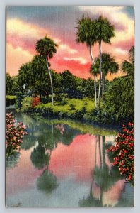 In Lakes & Rivers Crystal Clear Come to Florida Vintage Linen Postcard 1680