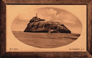 Africa Cape Verde St. Vincent C.V. Bird Island Vintage Postcard C348