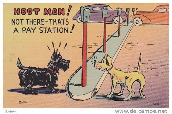 MWM Comic Series, Dogs - Scottish Terrier, Hoot Mon! Not There - Thats A Pay...