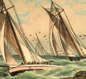 1880's King & Hamilton Wagons Cultivators Yacht Race The Puritan The Genesta 7T 