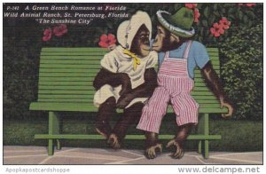 Florida Saint Petersburg A Green Bench Romance At Florida Wild Animal Ranch 1955