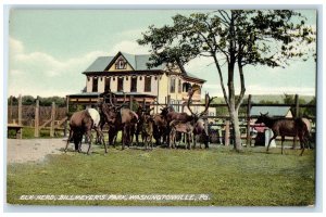 c1910s Elks Herd Billmeyer's Park Washingtonville Pennsylvania PA Trees Postcard