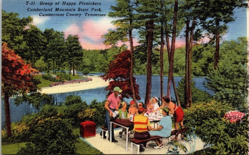 Group Happy Picnickers Cumberland Mountain State Park County TN Linen Postcard 