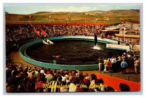 Vintage 1960's Postcard Whale Show Marineland of the Pacific California