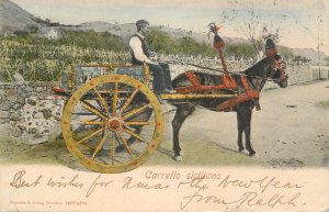 Italy Palermo Sicilian traditional sicilian carriage