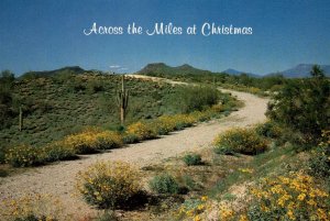 Across the Miles at Christmas,AZ BIN