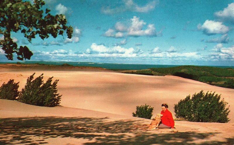 Vintage Postcard Sleeping Bear Dunes Beautiful Scene Water Wonderland Michigan