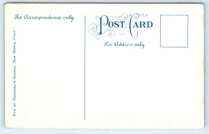 Danbury CT Fair Cattle Exhibit Oxen Connecticut Postcard