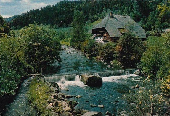 Germany Schwarzwald-Idyll an der Gutach