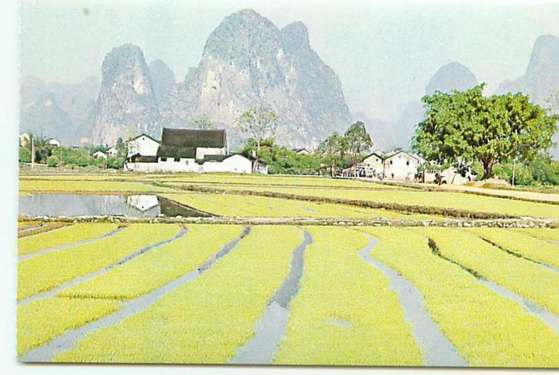 Postcard Guilin China Rural scenery Green Farming Fields Marshes Irrig  # 3254A 