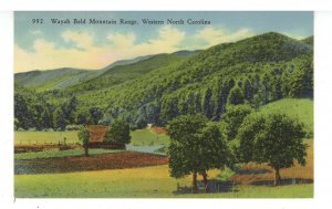 NC - Wayah Bald Mountain