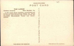 New Market Virginia VA Endless Caverns Lodge Albertype Vintage Postcard