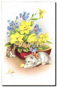 Old Postcard Fancy Cat Kitten